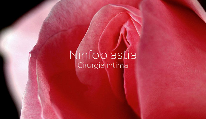 flor vermelha simboliza cirurgia intima de ninfoplastia para correção da hipertrofia dos pequenos lábios